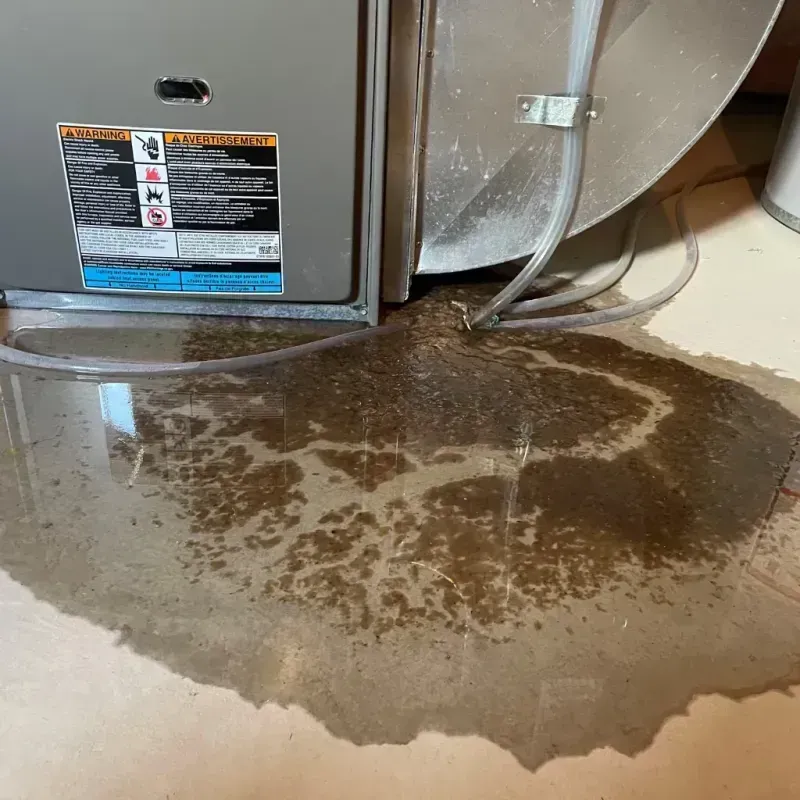 Appliance Leak Cleanup in Trenton, TN